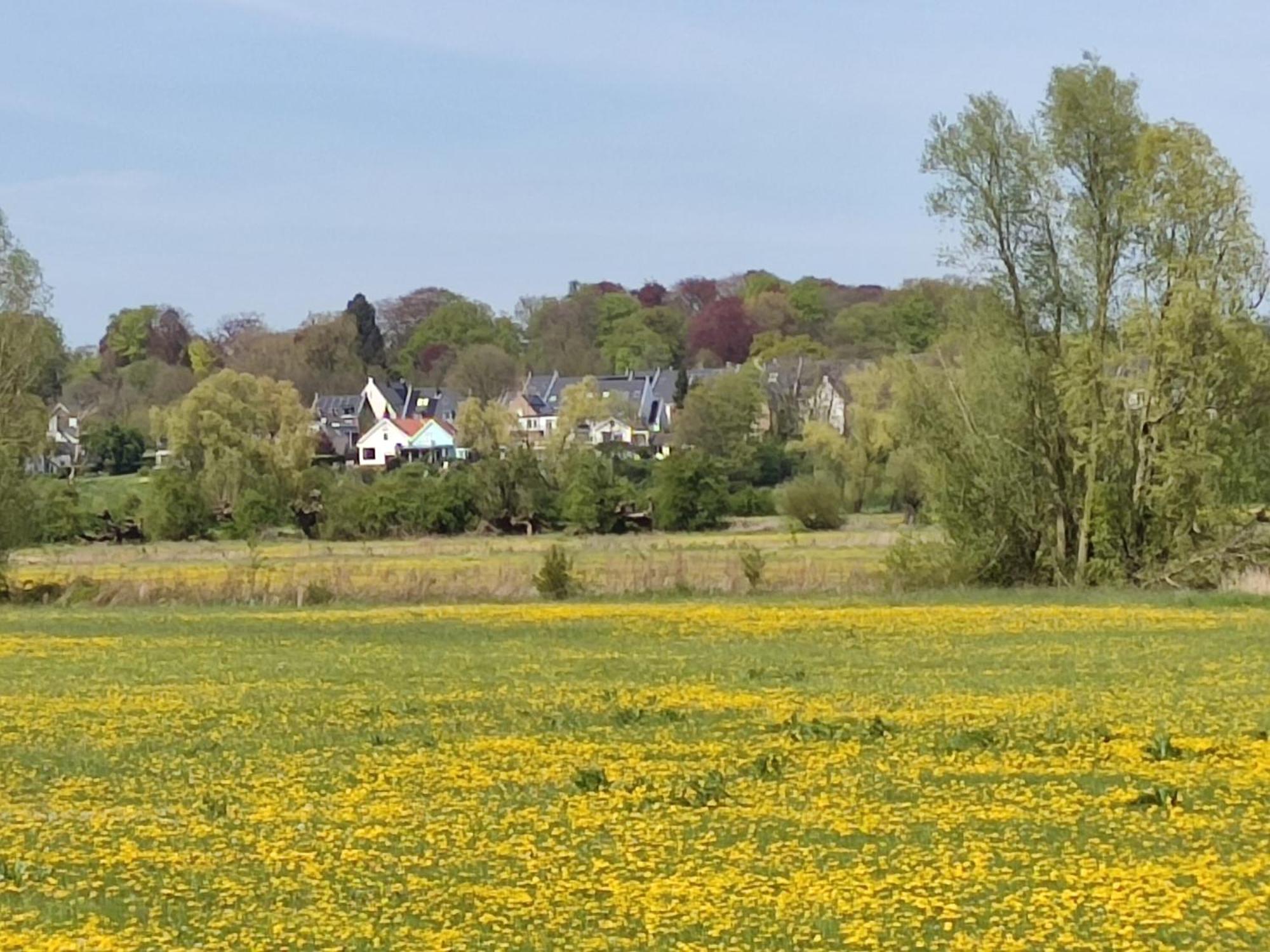 Apartment Cornfield