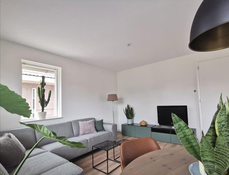 Cornfield Apartment